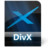 DivX File